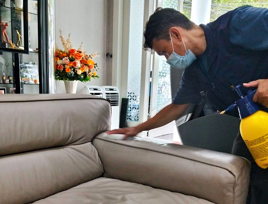Pekerja membersihkan sofa kulit
